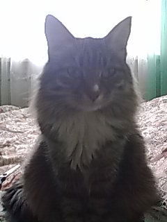 Татьяна Ильиных