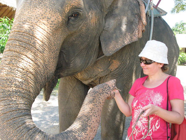 Столярова Ирина