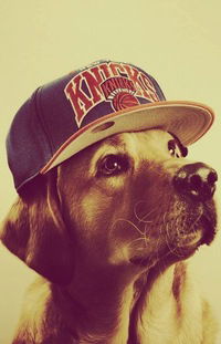 Ирина Плющикова