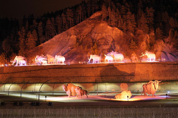 Марина Жданова