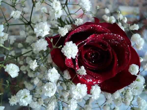 Ольга Зуева