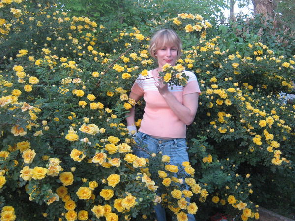 Елена Дмитриева