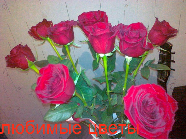 Бекзада Нургалиева