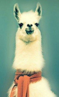 Людмила Макарова