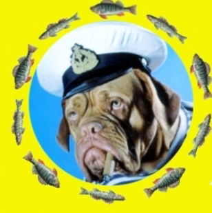 Ооо Артель Продажа Рыбы