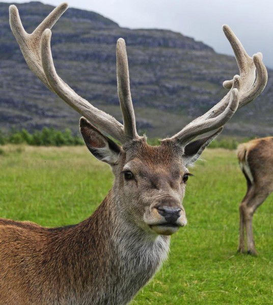 Катчибаева Гульнара Katonkaragay.kz