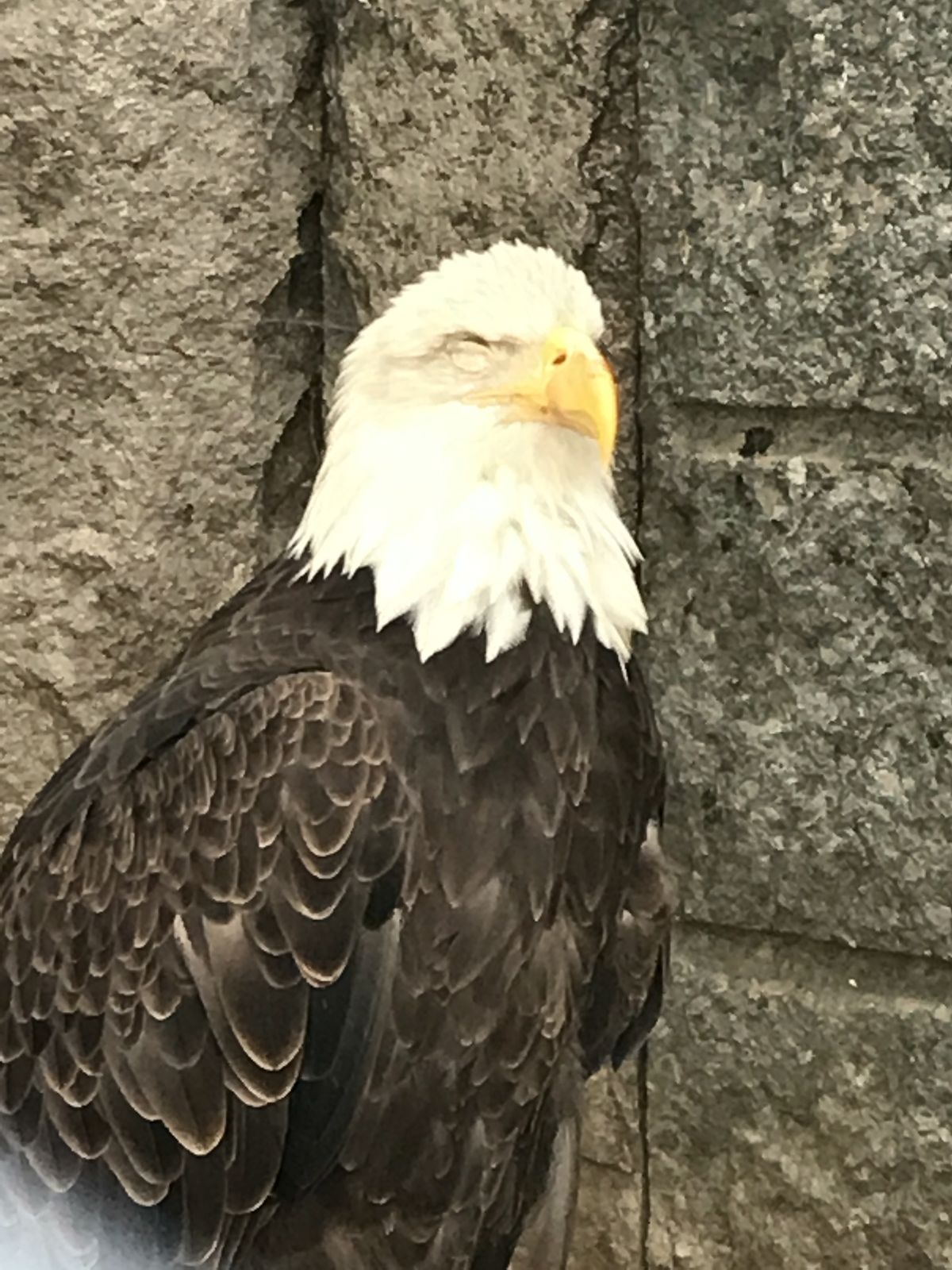 Александр Голицын