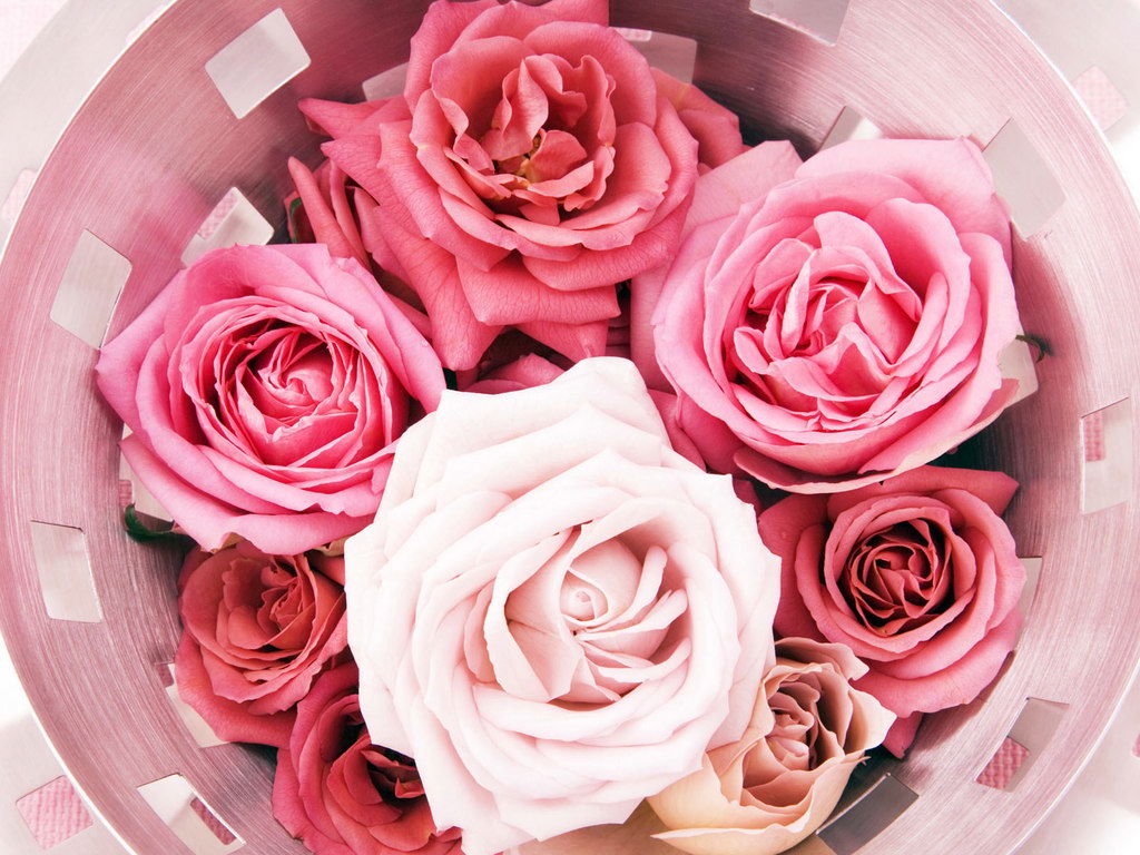 Седа Хачатрян