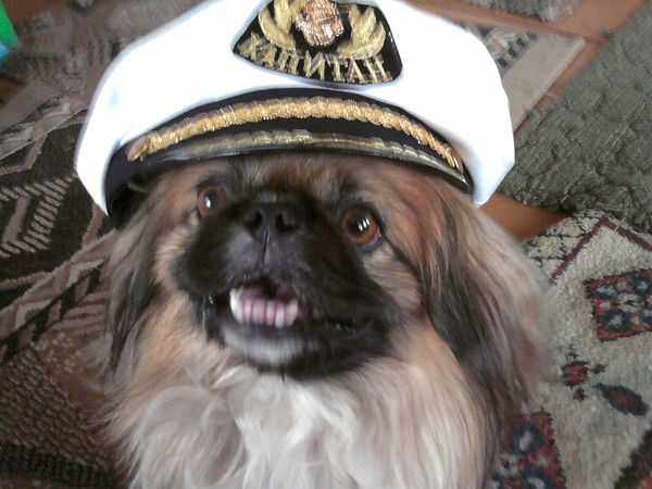 Светлана Боронина