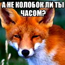 Иван Vip
