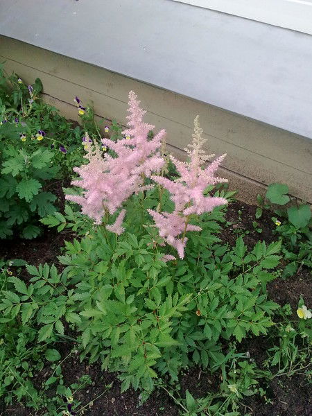 Валентина Карбасова