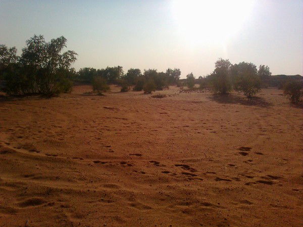 Александр Марченко