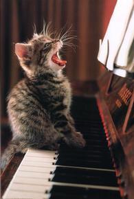 Дмитрий Фамилия Хорошая