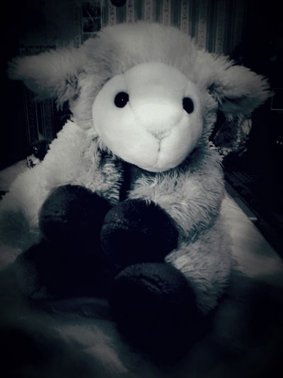 Илья Данилюк