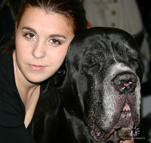 Инна Королева