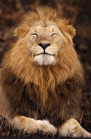 Галеев Мурат