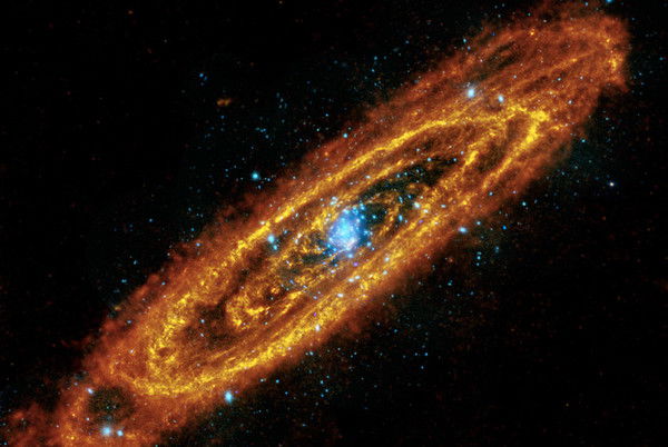 Наталья Дереглазова