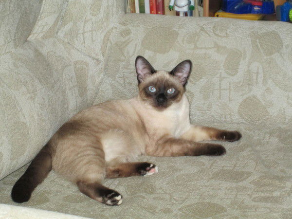 Оксана Батпаева