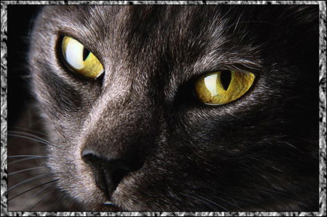 Ольга Молодцова