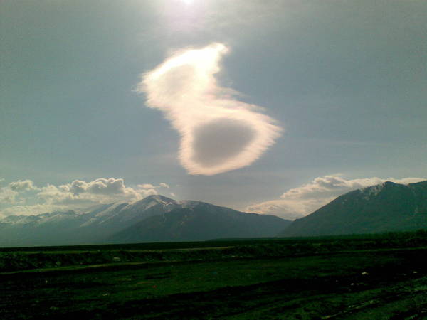 Алексей Зырянов