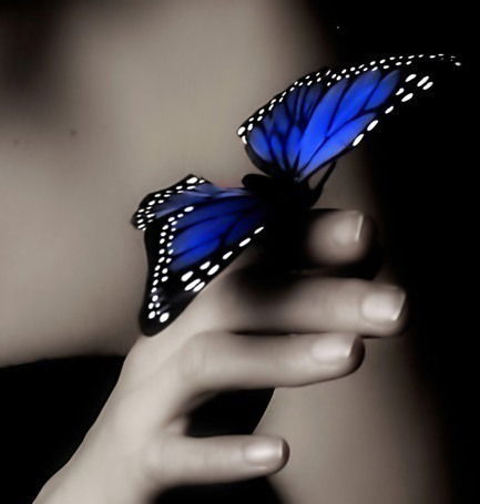 Светлана Залевская