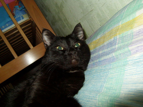 Наталья Башмакова