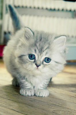 Неизвестно Неизвестно