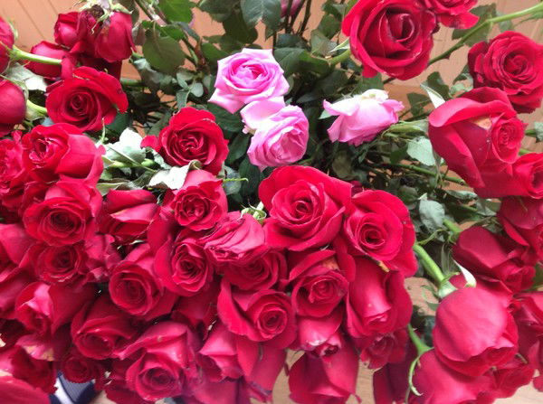 Надежда Сулаева