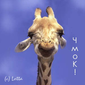 Владислав Дятлов