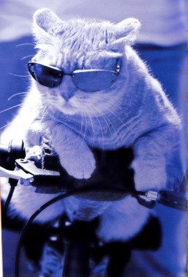 Тимур Татарин