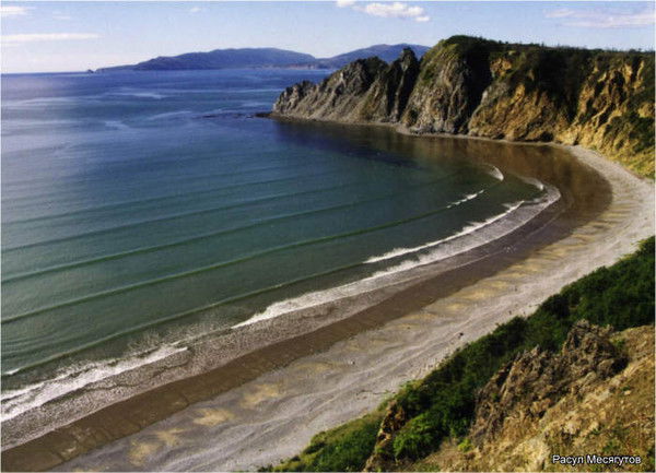 Арман Галымов