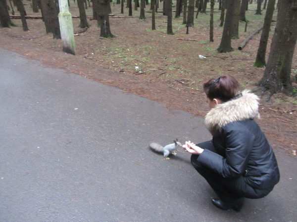 Светлана Терентьева