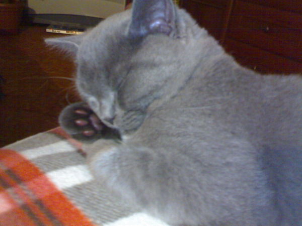 Василий Л...