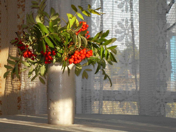 Наталья Трифонова