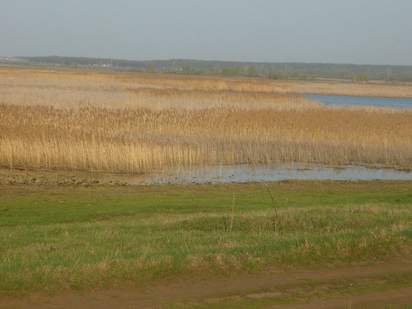 Валентина Валеева