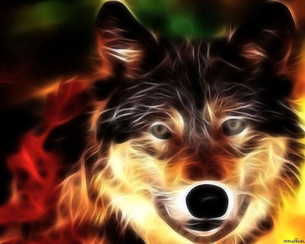 Игорь Ворона