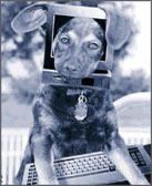 Олег Trigger Istomin