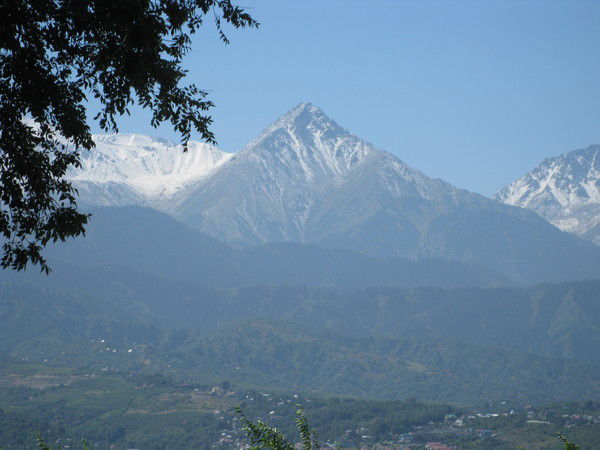 Светлана Малина