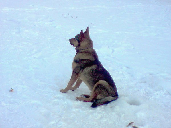 Иван Бурлак