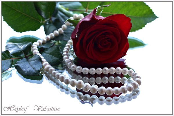 Гульмаржан Салыкбаева