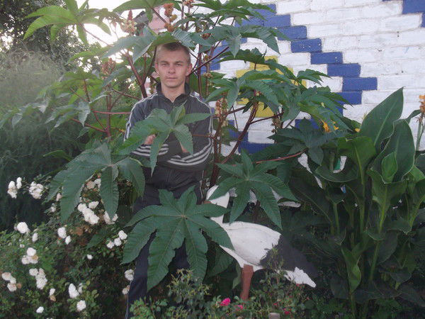 Евгений Кондратьев