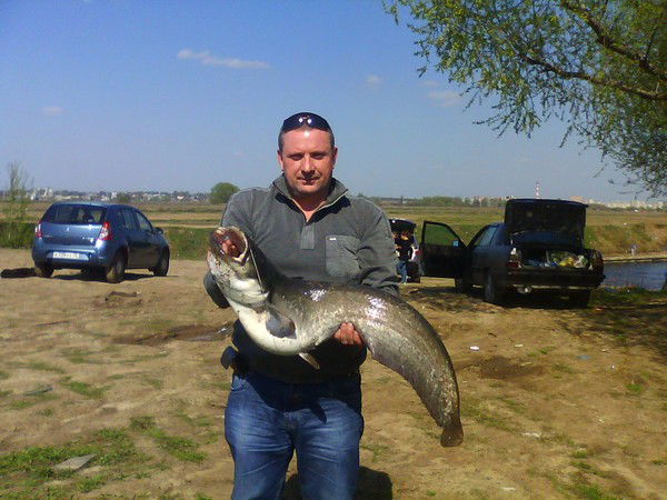 Виталий Чекменёв