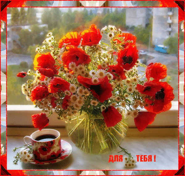 Наталья Кравец