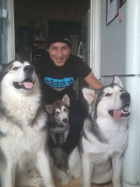 Константин Михайлов