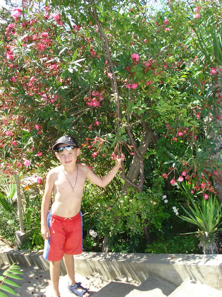 Саша Шрейдер