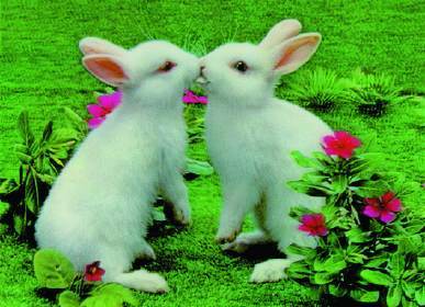 Медер Бердигулов