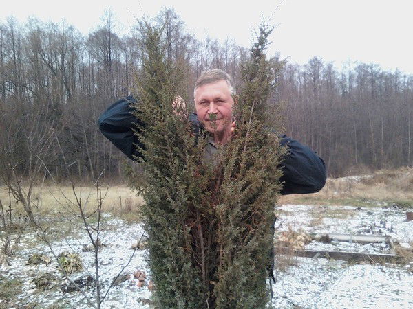 Александр Бобрышев