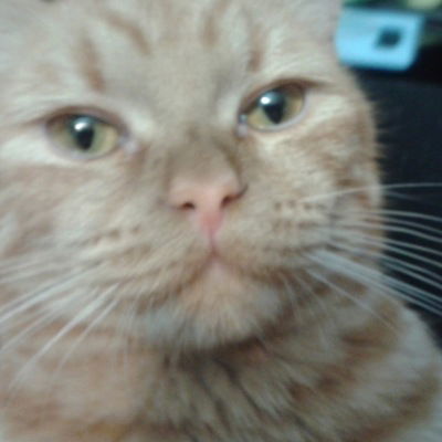 Максим Ефремов