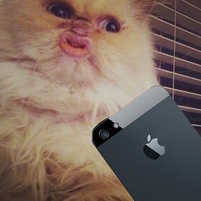 Даня Есенин