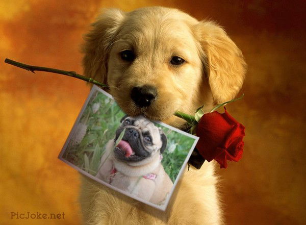 Лина Котова